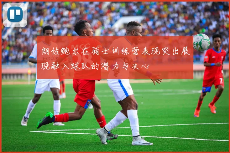 朗佐鲍尔在骑士训练营表现突出展现融入球队的潜力与决心