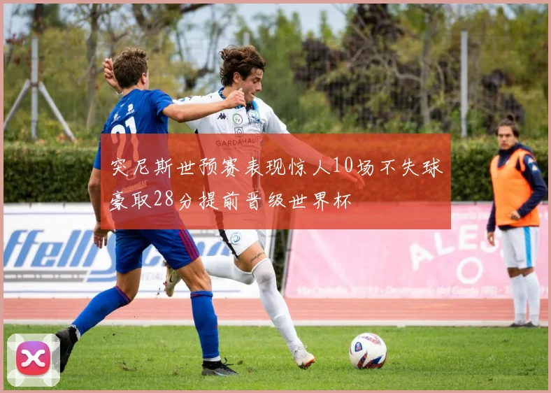 突尼斯世预赛表现惊人10场不失球豪取28分提前晋级世界杯