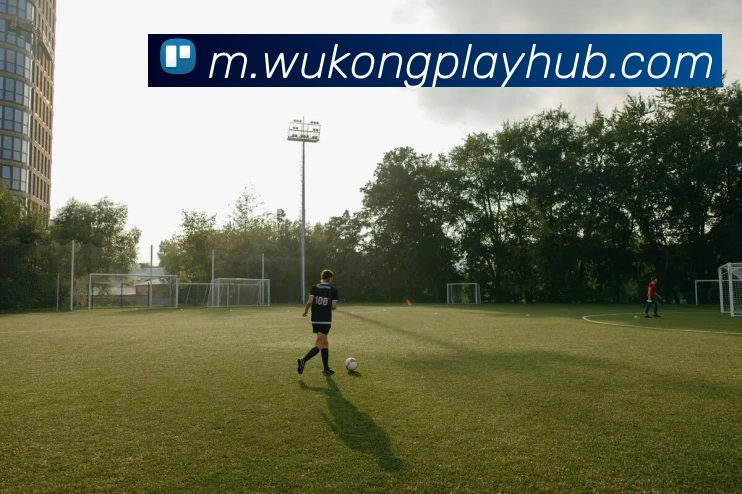 悟空体育平台生态图