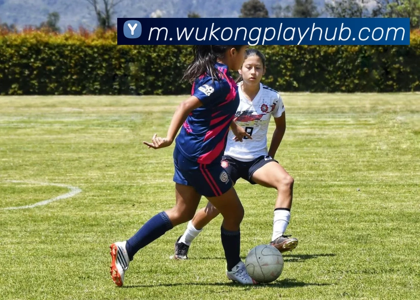 悟空体育APP 封面图